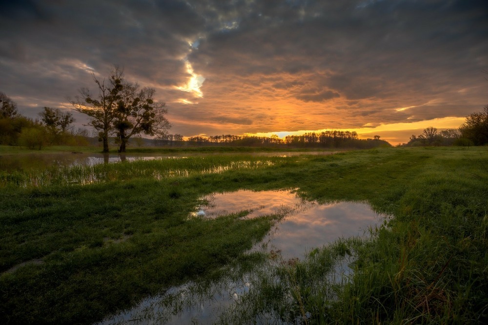 Схід сонця над Тясмином Автор: Ігор Солодовніков