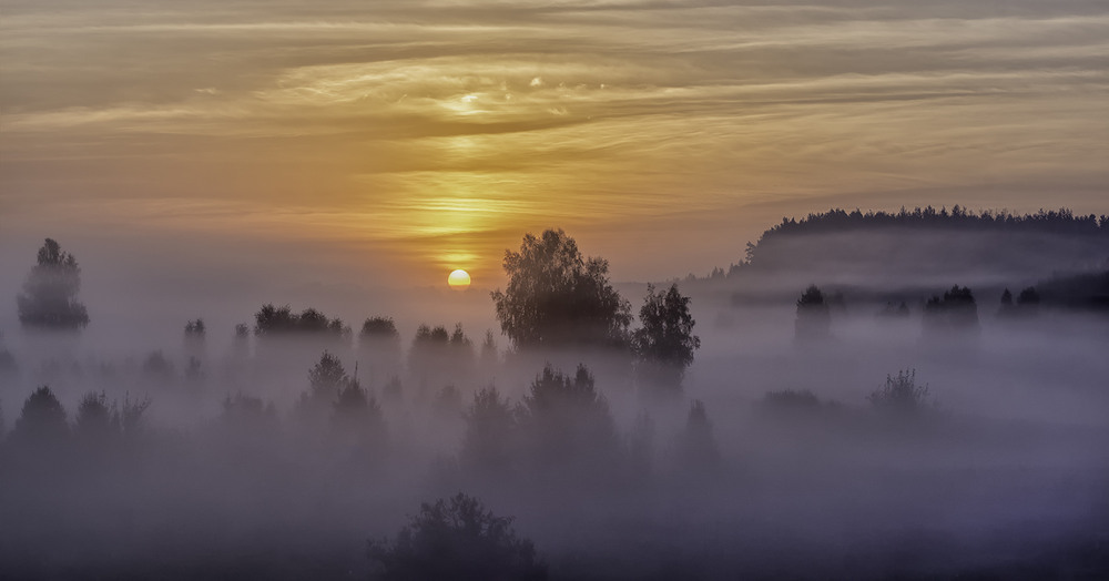Миколині тумани... Автор: Farernik