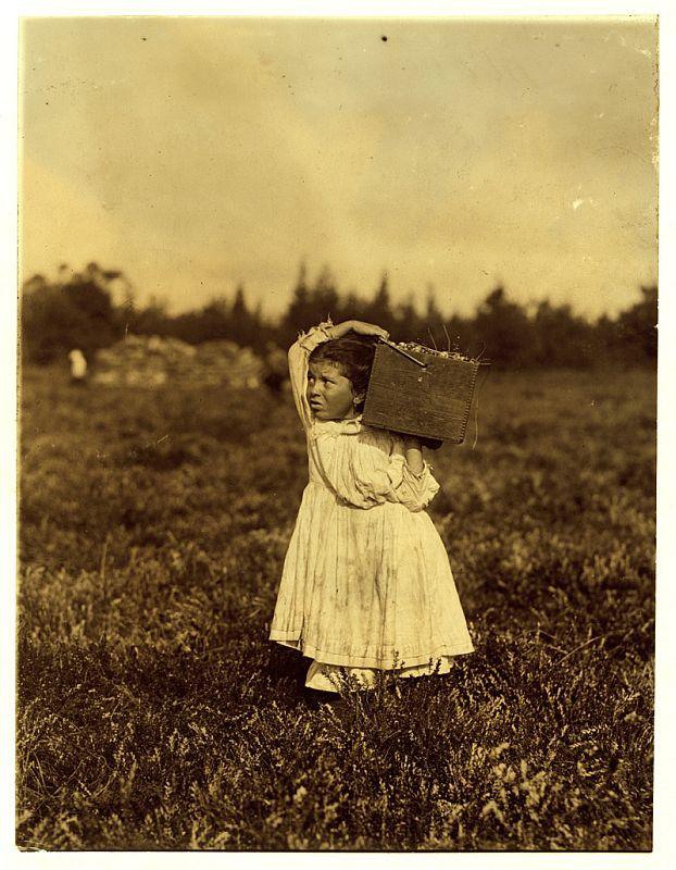 11 8-летняя Дженни на сборе клюквы в Пембертоне, Нью-Джерси. 1910 год.