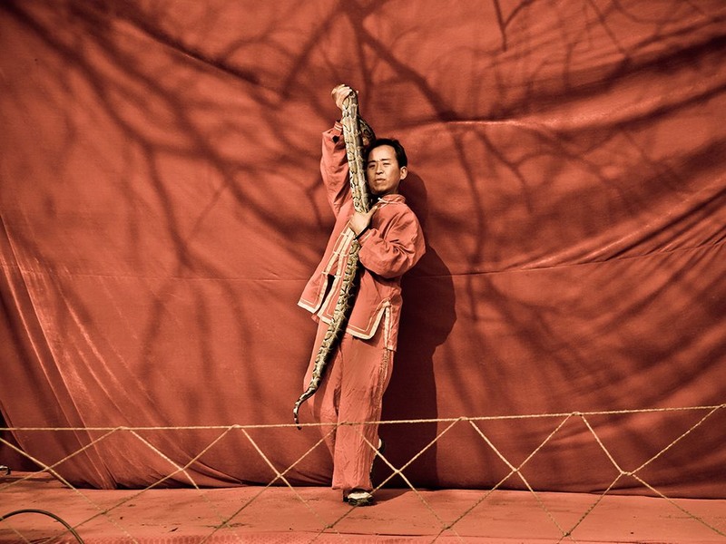 22. Дрессировщик змей во время празднования фестиваля весны в Китае. Автор - Wesley Thomas Wong.