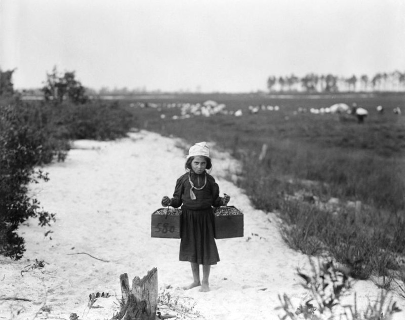 17 10-летняя Роуз на сборе ягод в Браунс-Миллз, Нью-Джерси. Сентябрь 1910 года.