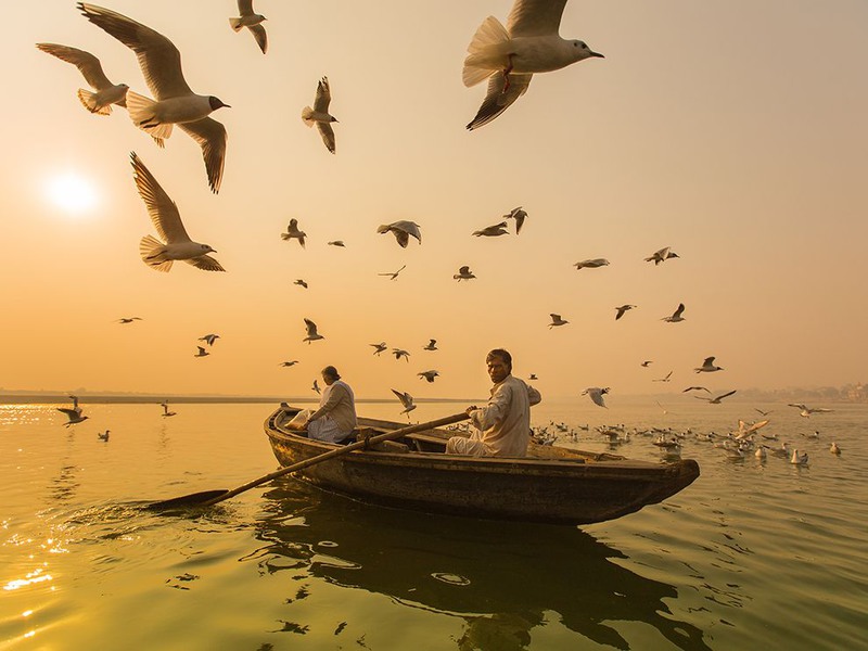 3 "Разведка на рассвете". Автор - Razz Razalli. Лодочная прогулка во время ежегодной миграции птиц в  Варанаси (Индия).