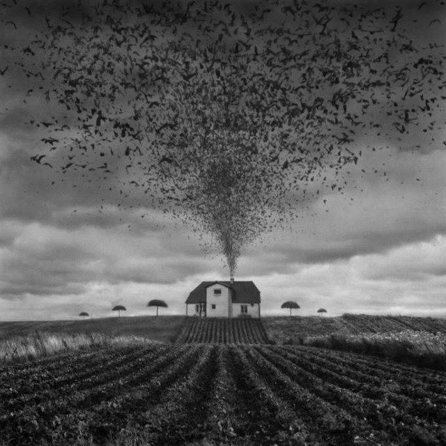 Dariusz Klimczak