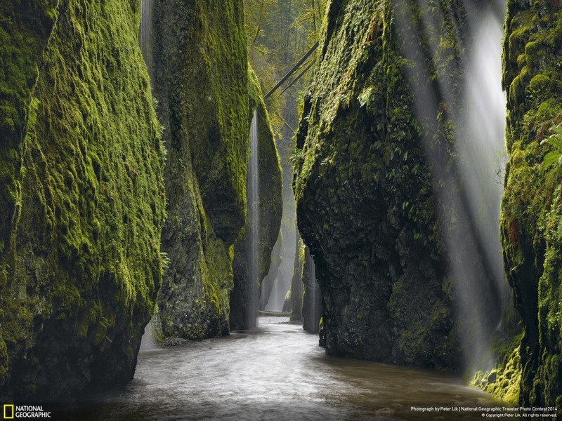 4 Ущелье реки Колумбия, штат Орегон, США. Автор - Питер Лик.