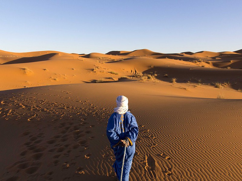 14 "Ведущий". Автор - Fabio Petti. Песчаные дюны Мерзуги, Марокко.