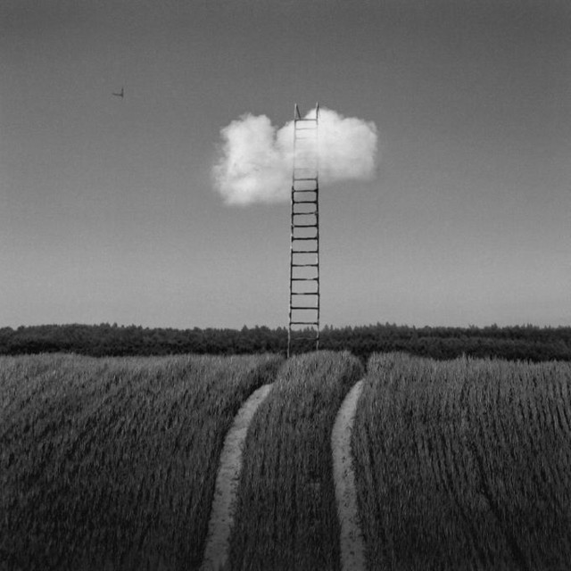 Dariusz Klimczak