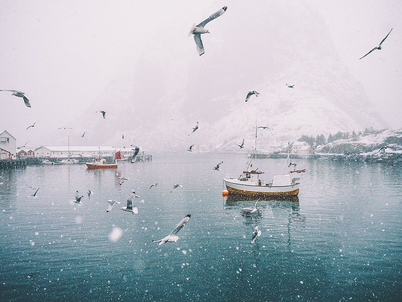 15 "Бурная деятельность". Автор - Stian Servoss. Небольшая рыбацкая деревня на Лофотенских островах в Норвегии.