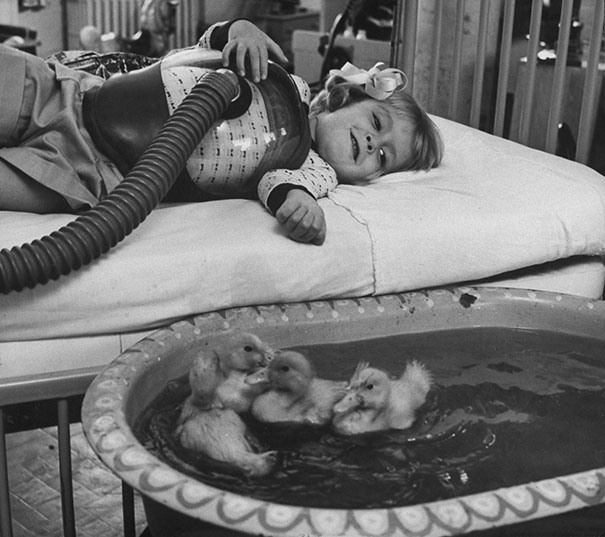 6 Использование животные в комплексе медицинской терапии, 1956.