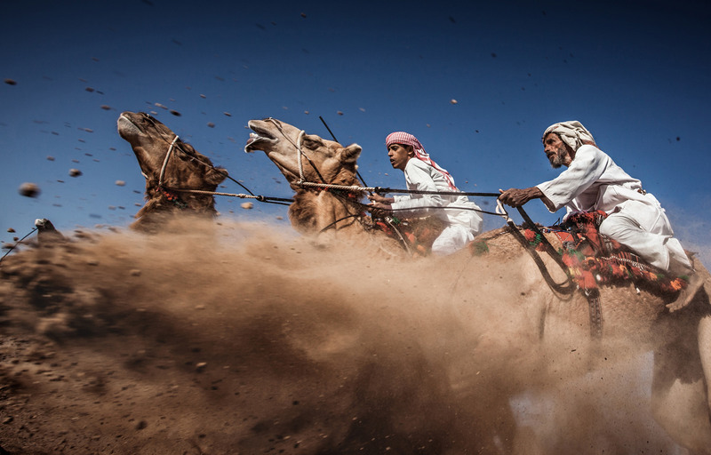3 Третье место - работа фотографа Ахмед Аль Токи (Ahmed Al Toqi) под названием Верблюд Ардах «Camel Ardah». На снимке верблюжьи скачки в Омане. В гонке участвуют два верблюда с наездниками. Животные стартуют с одинаковой скоростью и проигрывает тот, кто придет первым к финишу. Приз - 6-дневная фотоэкспедиция на паруснике вдоль побережья штата Мэн (США).