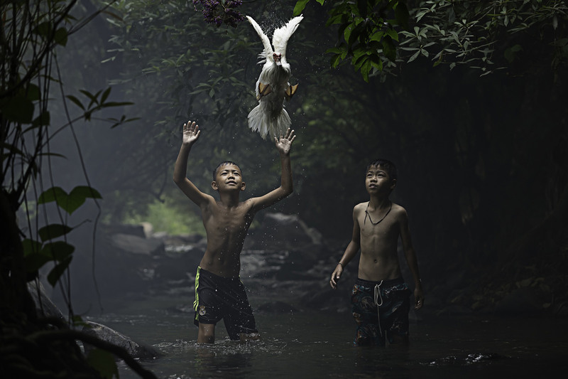 5 Лауреат - фотограф Сара Уотерс (Sarah Wouters) «Catching a Duck». Мальчики пытаются поймать утку у подножия водопада в тайской провинции Нонг Хай. Утешительный приз - сертификат на $200 для приобретения фототехники.