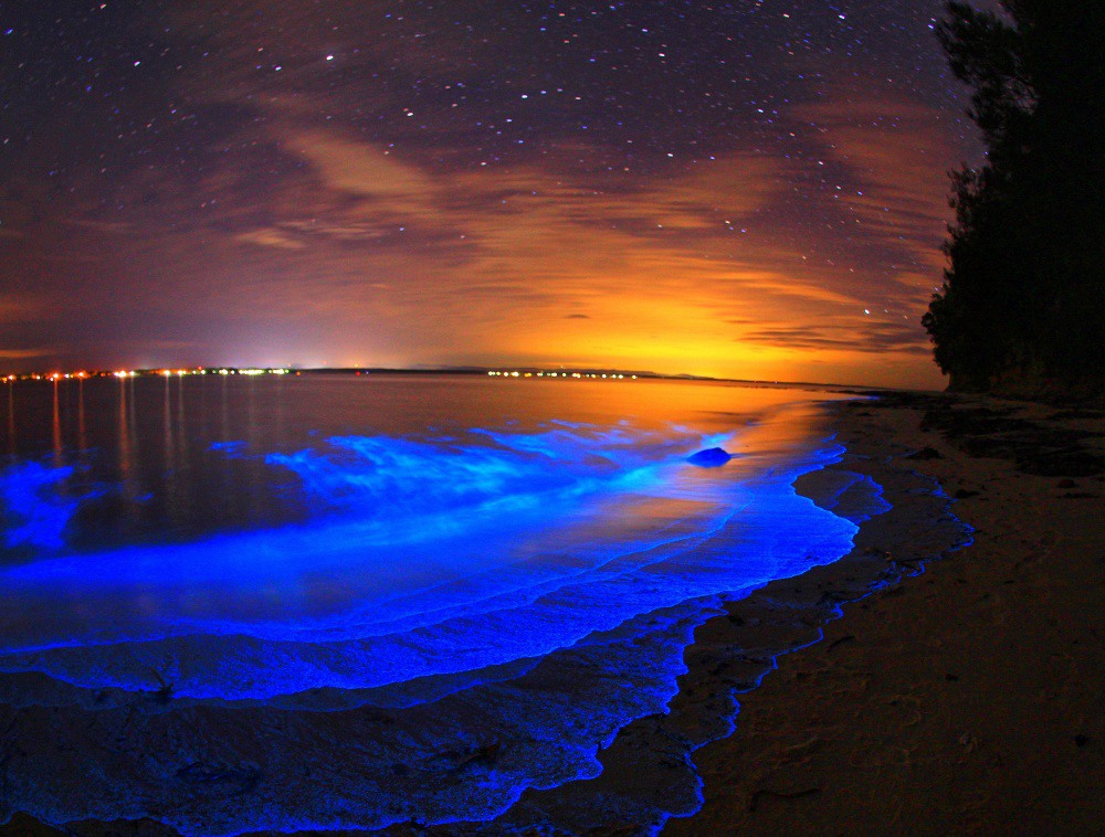 8. Биолюминесценция в озерах Джипсленд. Источник: Naomi Paquette