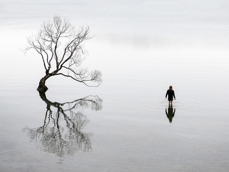 9 Итог. Автор - Alexandre Gendron. Озеро Ванака в Новой Зеландии.