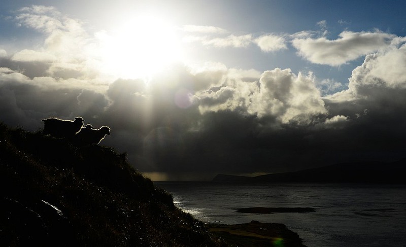 14 Остров Стреймой, октябрь 2012. Автор - Jonathan Nackstrand | AFP | Getty Images.