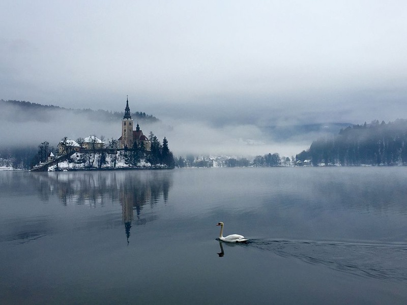 18 Лебединое озеро. Автор - Kostyantyn Steblovskyy. Озеро Блед в Словении.