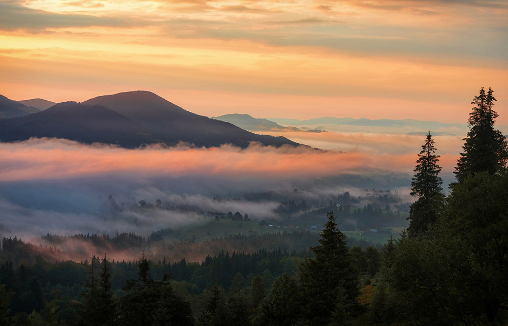 Шепіт світанку Author: Олександр Гучок