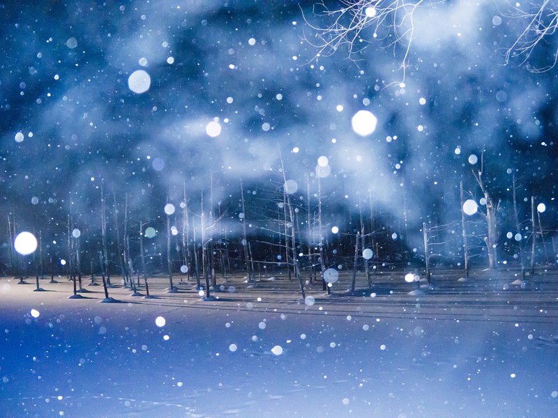 8. "Вечерний снегопад". Хоккайдо, Япония. Автор - Haruka Iwasaki.