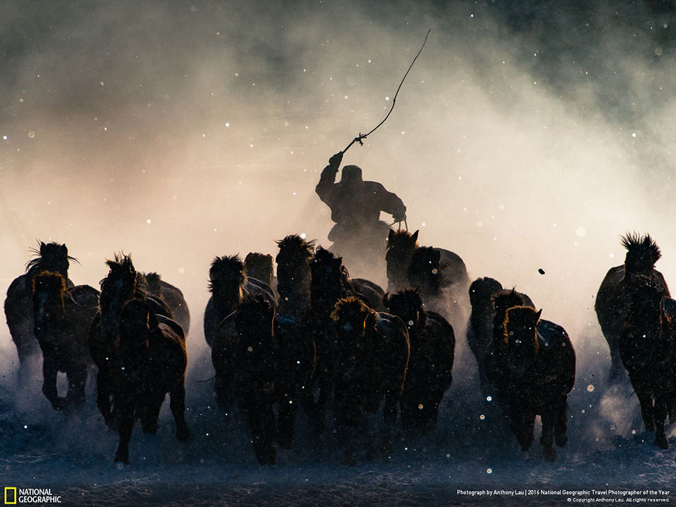 1 Гран-при конкурса — фотография «Зимний погонщик» (Winter Horseman). Автор - Энтони Лау. Также, это лучшая работа в категории «Люди». Снимок сделан во Внутренней Монголии.