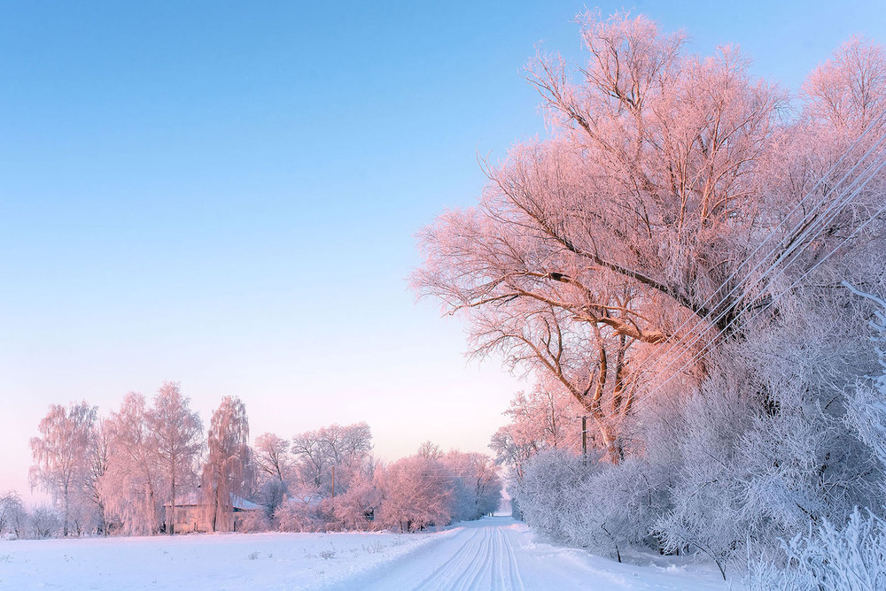 крижаний ранокАвтор: Наталя Сиротюк