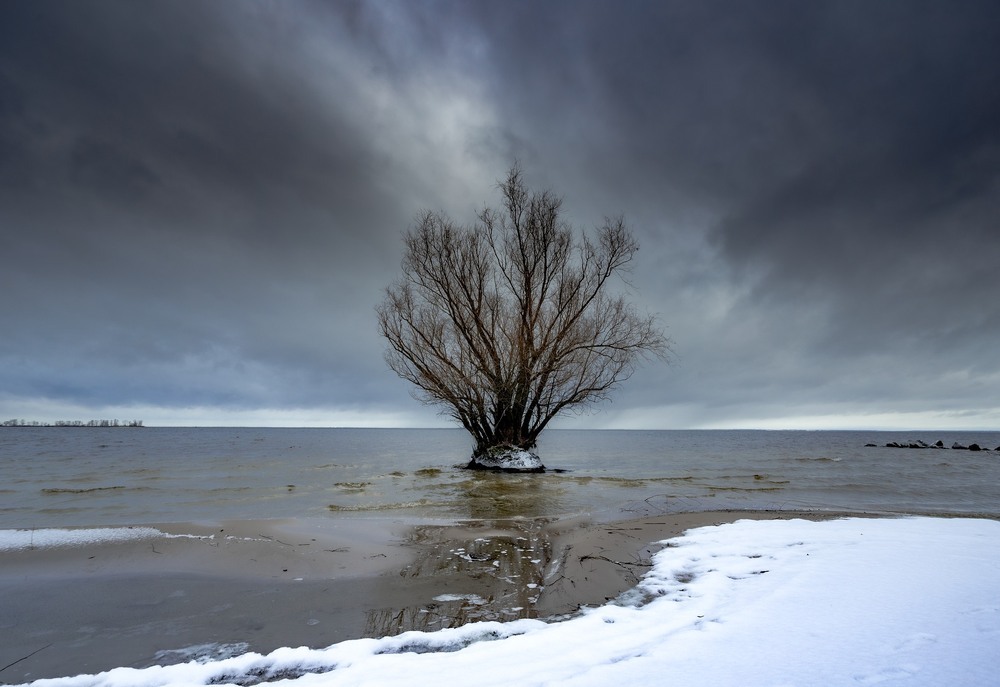 ОдинокістьАвтор: Ігор Солодовніков