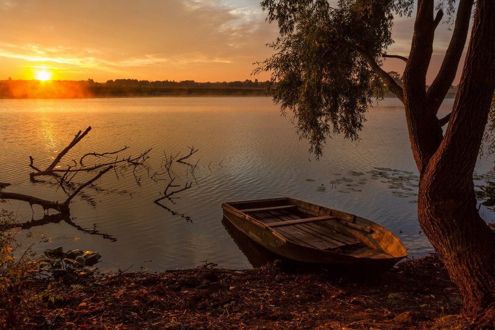 Світанок на озері Author: Зоя та Олександр