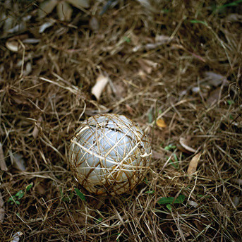 Мяч Жоао Габриэля, Малави