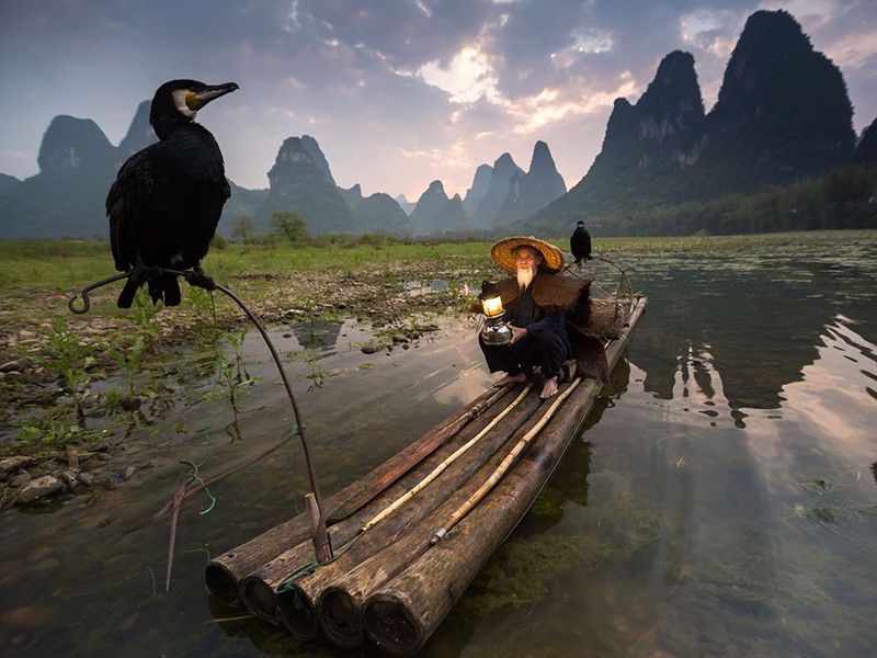 28 "Кормилец птиц". Автор - Abderazak Tissoukai. Гуанси, Китай.
