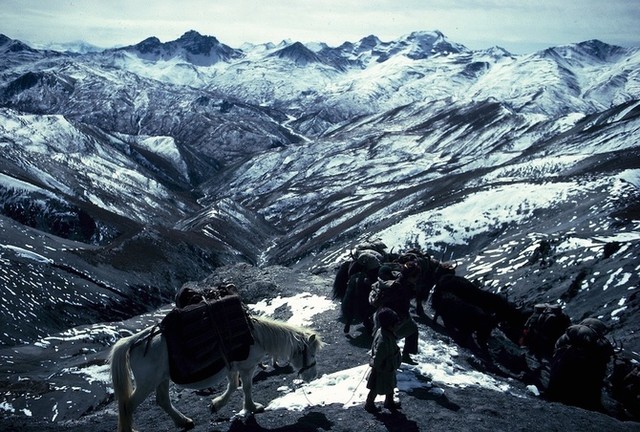 Eric Valli: «Caravans of the Himalaya»