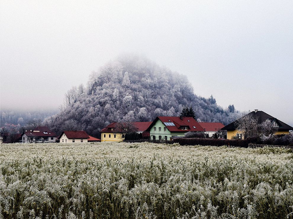 7 "Зимняя пастель". Автор - Sonia Sokhi. Снимок сделан в австрийской провинции Каринтия.