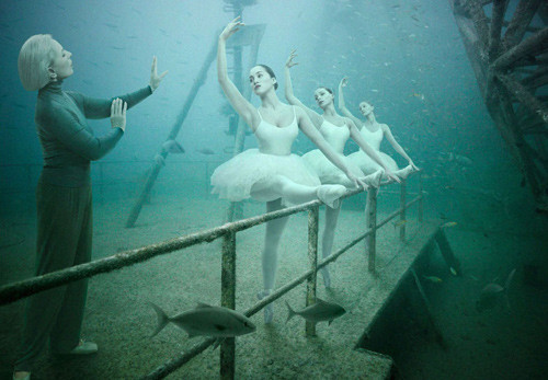 Andreas Franke: «Жизнь ниже уровня моря»