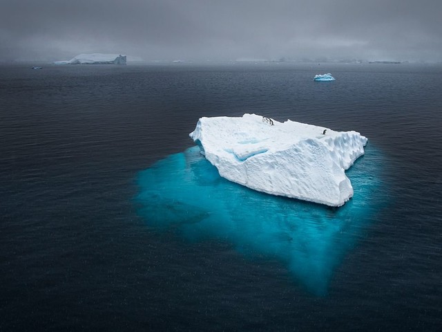 Пингвины на айсберге в Антарктиде. (Фото Joshua Holko)