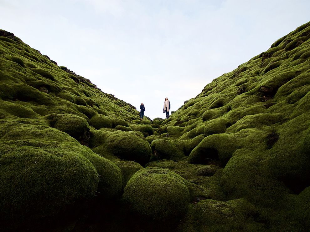 14 "Извержение мха". Автор - Dylan Shaw. Вулканическая порода, поросшая мхом (Исландия).