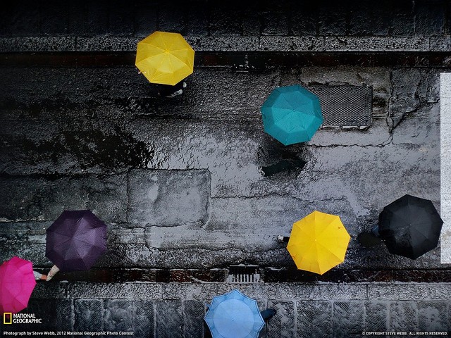 Дождь в Венеции: вид сверху на улицу, окрашенную яркими разноцветными зонтиками прохожих. (Фото Steve Webb)