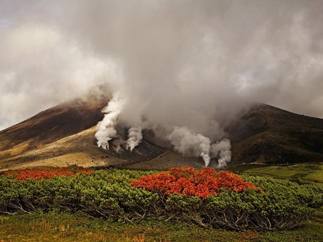 Вулкан Асахи, Япония. У подножия вулкана Асахи листва горного ясеня алеет ярким пламенем среди зарослей стелющейся сосны. (Фото Майкл Ямашита)
