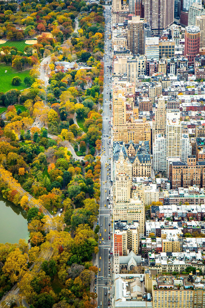 11 Почетное упоминание в категории «Города». «Раздел» (Divide). Автор -  Кейтлин Долматч. На снимке видна граница между архитектурным разнообразием Нью-Йорка и зеленью Центрального парка.