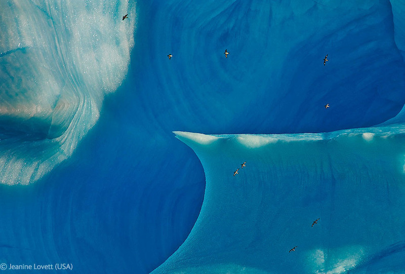 35. На заднем фото гигантский айсберг размером с 14-этажный дом, дрейфующий в Южном океане. Автор - Jeanine Lovett , США.
