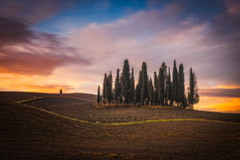 Magical Tuscany sunrise Автор: Сергій Вовк