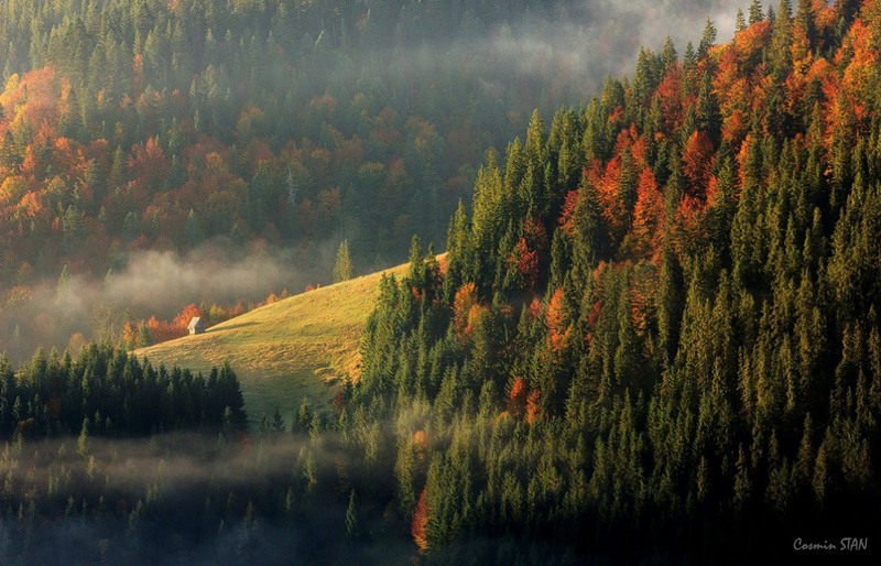 16 Западные Румынские горы. Автор - Stan Cosmin Ovidiu.