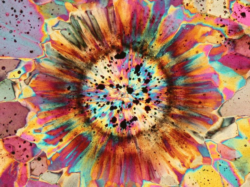2 "Подсолнух". На снимке тонкие слои яшмы под микроскопом. Автор - Бернардо Чезаре.