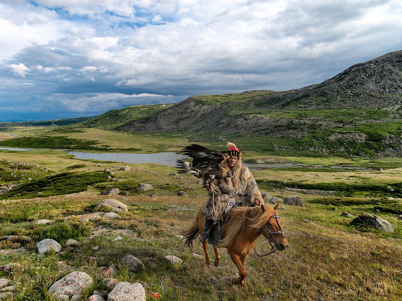 3 "Орел-охотник". Автор - Steve Morrison. Западная Монголия.