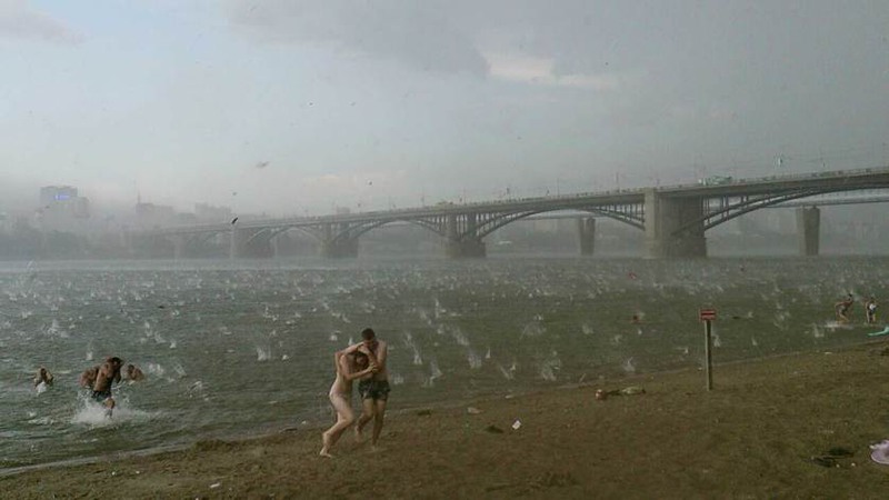 25  Автор - Nikita Dudnik—AP. People run to shelter from hailstorm on the beach at Ob River, Novosibirsk, Russia, July 12, 2014.