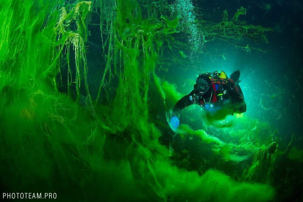 Мастер подводной фотографии