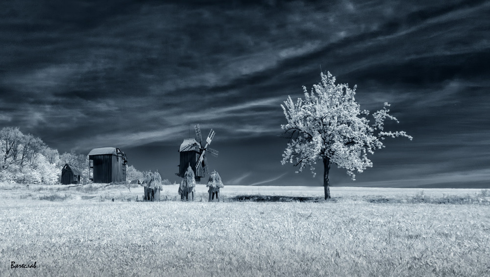 травневий сніг...Автор: Вячеслав