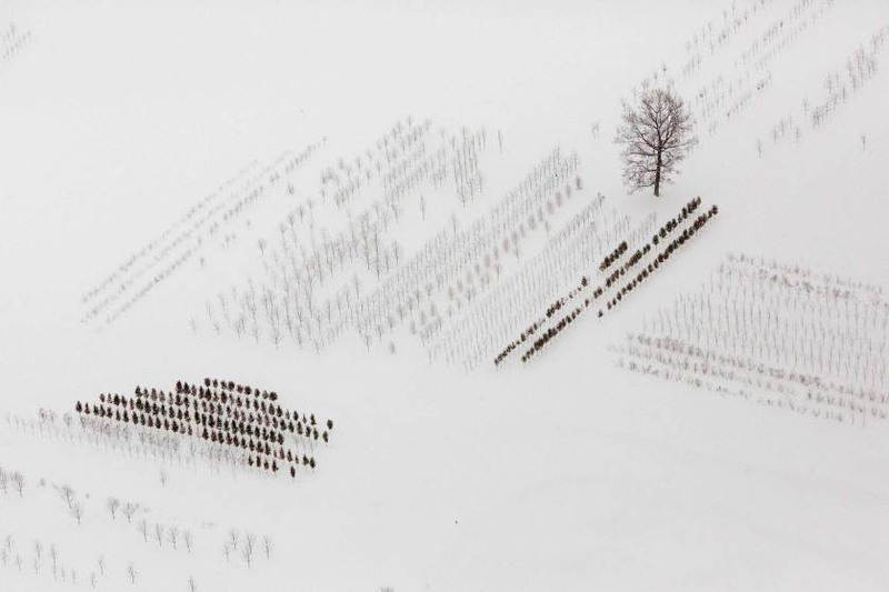 34  Автор - Lindsay DeDario—REUTERS. A snow-covered field is seen near Buffalo, New York, Nov. 21, 2014.