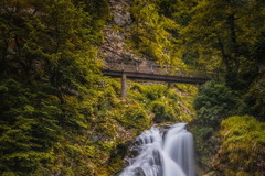 Slap Šum Author: Сергій Вовк