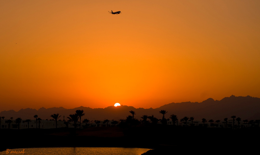 I Have A Dream... Author: Вячеслав