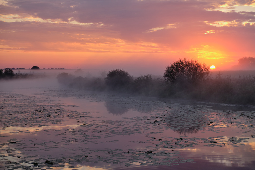 Сходило сонце за туманом Author: Микола Мороз