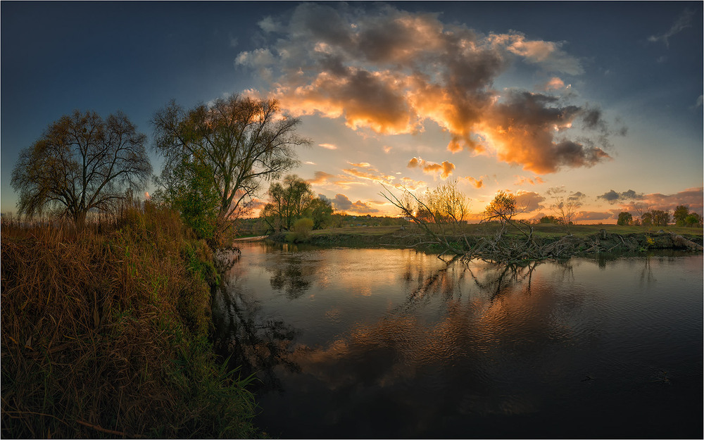 Author: Ігор Харківський