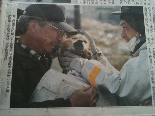 Хозяин, нашедший свою собаку после цунами в Японии. 2011 год.