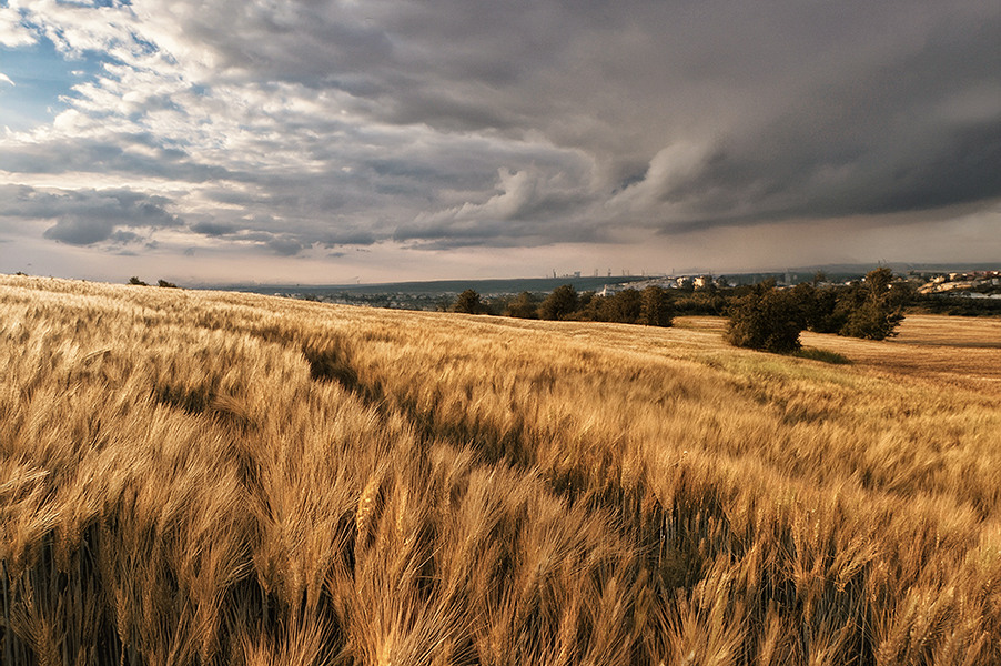 Про ШІ і не тільки.