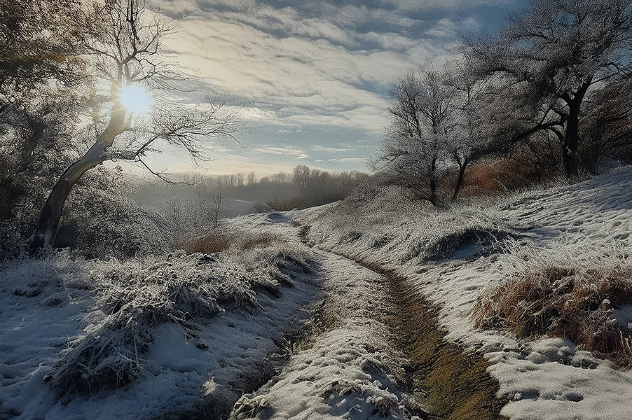Про ШІ і не тільки.